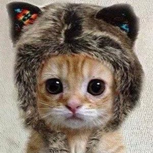 Meet your Posher, Joanna