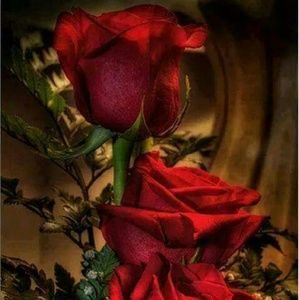 Meet your Posher, Maria