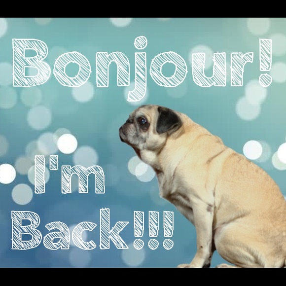 🌟I'm Back!!!! 🌟