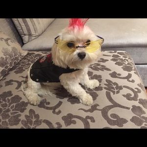 Meet your Posher, Patty