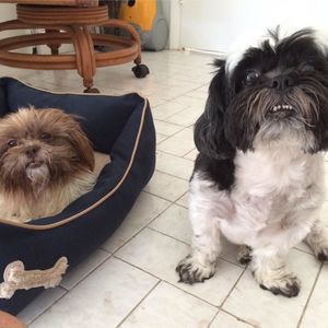 Meet your Posher, Diana