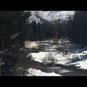 Meet your Posher, Julie