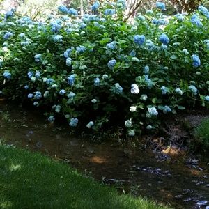 Meet your Posher, Evie