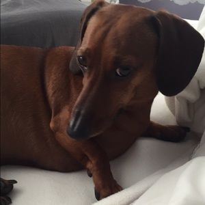 Meet your Posher, Jill