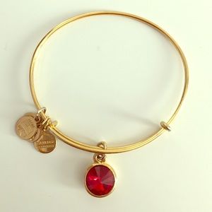 January Garnet birth stone Alex and Ani bracelet