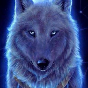 Meet your Posher, Ginger