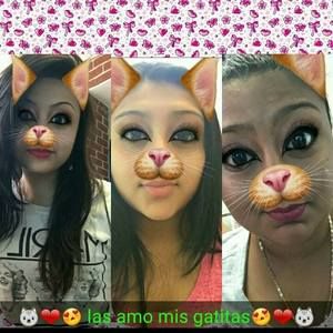 Meet your Posher, Betsy