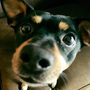 Meet your Posher, Chantel