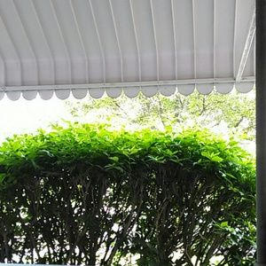 Meet your Posher, Janette