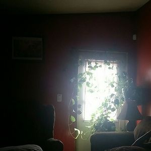 Meet your Posher, Katrina