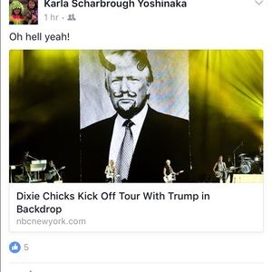 Meet your Posher, Anne