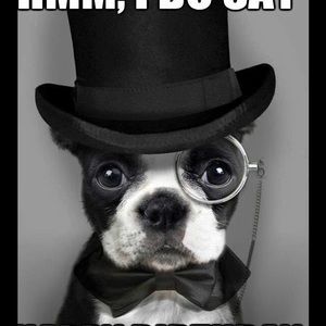 Meet your Posher, Liz