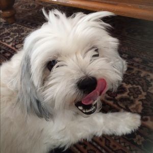 Meet your Posher, Emi