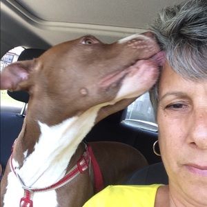 Meet your Posher, Gina