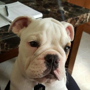 Meet your Posher, Terri