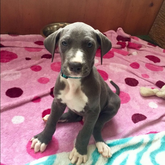 Meet your Posher, Jessica - Picture 1 of 1