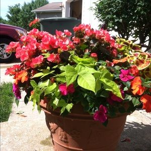 Meet your Posher, Susan