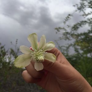 Meet your Posher, Sophie