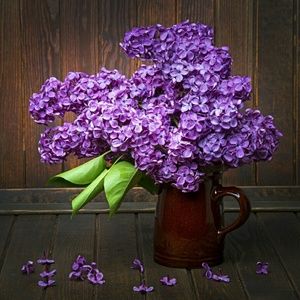 Meet your Posher, Lori