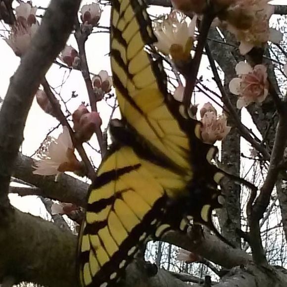 Meet your Posher, Jill - Picture 1 of 1