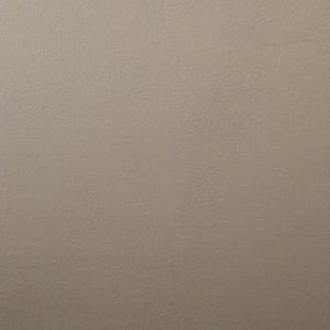 Meet your Posher, Canitha