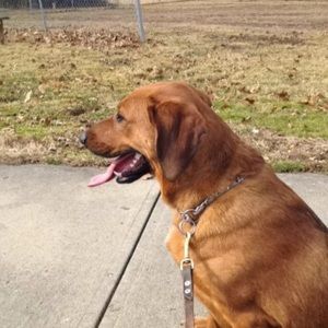 Meet your Posher, Emilie