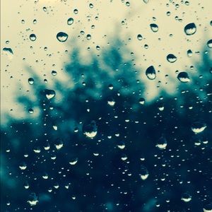 Meet your Posher, Quinn