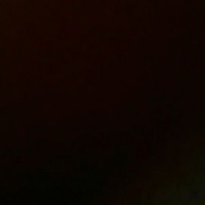 Meet your Posher, Daisy