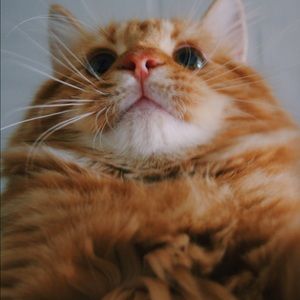 Meet your Posher, Jacey