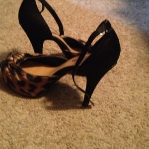 Brand new cosmopolitan