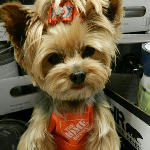 Meet your Posher, Nancy