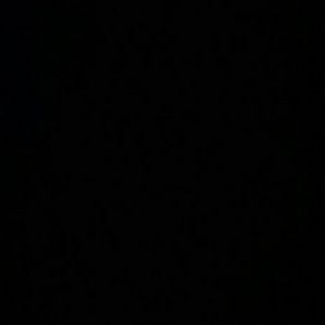 Meet your Posher, Savannah