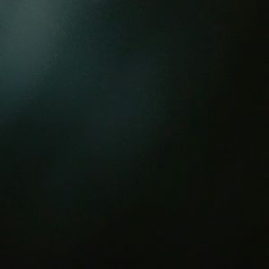 Meet your Posher, Connie