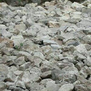 Meet your Posher, Carl