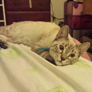 Meet your Posher, Kylie