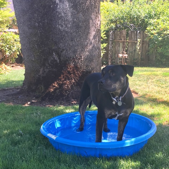 Meet your Posher, Stefani - Picture 6 of 8