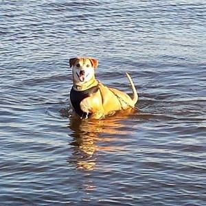 Meet your Posher, Nikki peyton