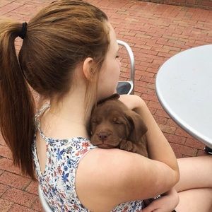 Meet your Posher, Casey