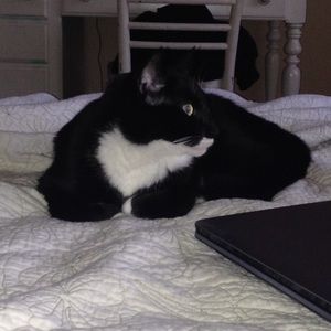 Meet your Posher, Morgan