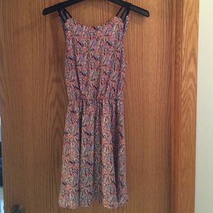 Scoop neck, low back flattering Nordstrom dress