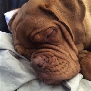 Meet your Posher, Cheryl