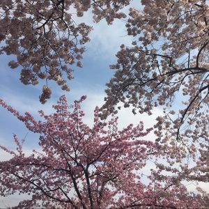 Meet your Posher, Marianna