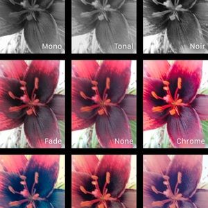 Meet your Posher, Erika