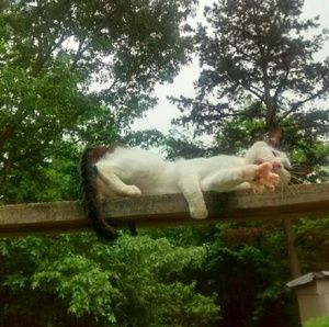 Meet your Posher, Barbara