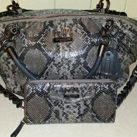Coach 15956 Gray Python Madison Sophia MSRP 898.00 - Picture 1 of 2