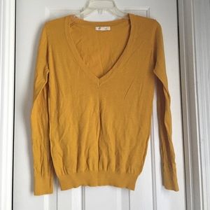 Vneck sweater