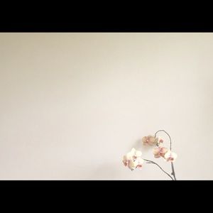 Meet your Posher, Mercedes