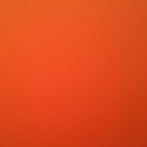 Meet your Posher, Whitney