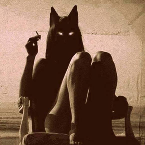 Meet your Posher, Linda - Picture 1 of 1