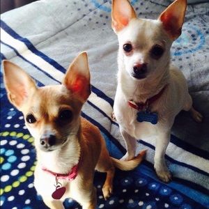 Meet your Posher, Karen